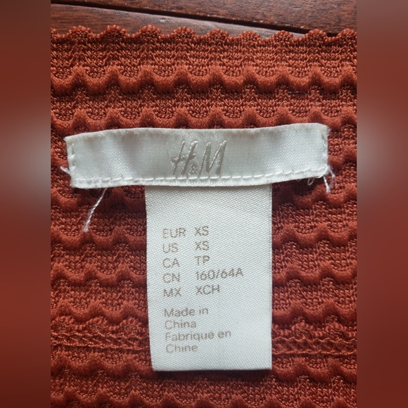 H&M Rust Red Textured Pleat Skirt| Size XS - Picture 4 of 6